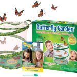 Insect Lore Butterfly Garden