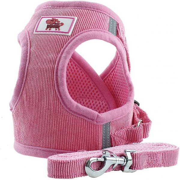 Soft Mesh No Pull DogCat Harness and Lead Set for Walking for Puppy Cats